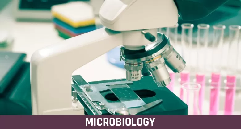 B. Sc. Microbiology in vadodara